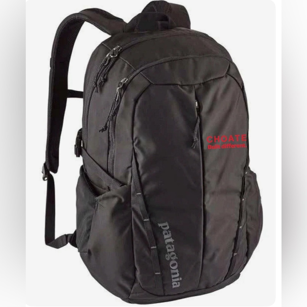 Patagonia Backpack